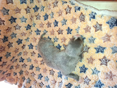Amour 3